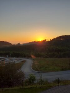 IMG-20211009-WA0006